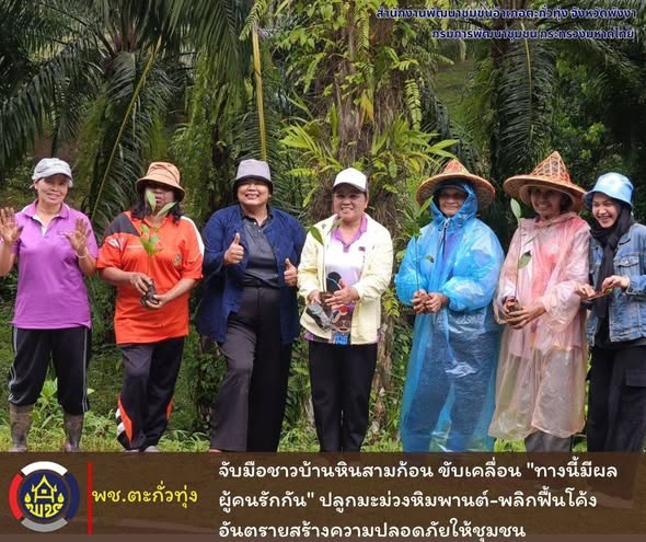 พช.ตะกั่วทุ่ง จับมือชาวบ้านหินสามก้อน ขับเคลื่อน "ทางนี้มีผล ผู้คนรักกัน" ปลูกมะม่วงหิมพานต์-พลิกฟื้นโค้งอันตรายสร้างความปลอดภัยให้ชุมชน 