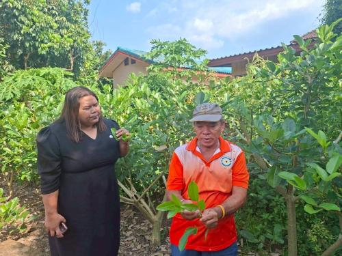 พช.ตะกั่วทุ่ง ขับเคลื่อน "ครัวเรือนทำตาม" สร้างความมั่นคงทางอาหาร ภายใต้กรอบแนวคิดการเปลี่ยนแปลงให้เกิดสิ่งที่ดีขึ้น “ปรับเปลี่ยนดี ชีวีมีสุข”