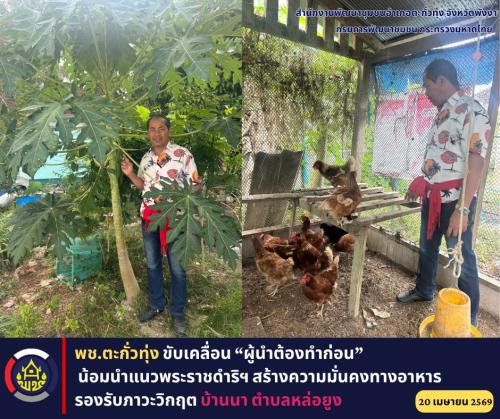 พช.ตะกั่วทุ่ง ขับเคลื่อน “ผู้นำต้องทำก่อน” น้อมนำแนวพระราชดำริฯ สร้างความมั่นคงทางอาหาร รองรับภาวะวิกฤต